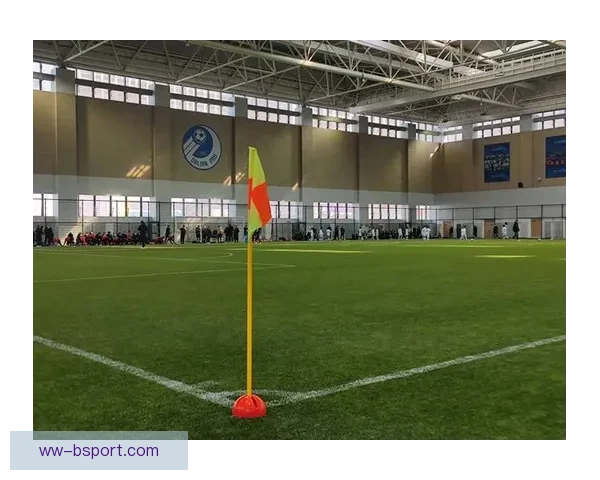 女足球迷文化的崛起与发展：独特观赛氛围与创新助威方式的融合与变革