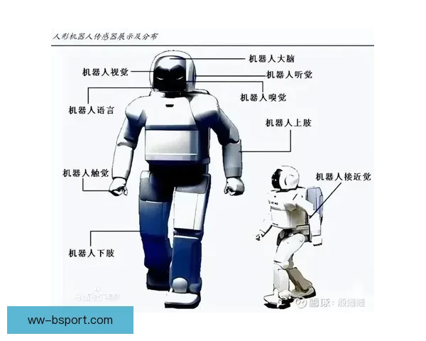全面解析国家队最新大名单关注核心变化与选人逻辑要点关键因素一览